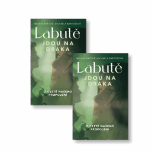 Balíček 2 ks Labutě jdou na draka